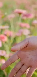 Hand reaching out in a field of pink flowers, capturing serenity and nature.