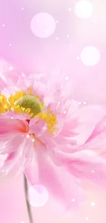 Gentle pink flower with a blurred pastel background.