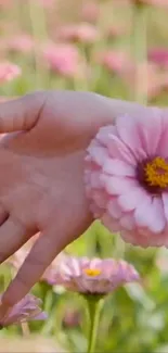 A hand gently touching pink flowers in bloom, symbolizing serenity.