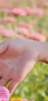 Hand gently touching flowers in a serene, vibrant field.