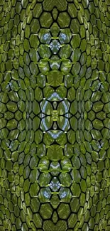 A vibrant green geometric hexagon pattern wallpaper.