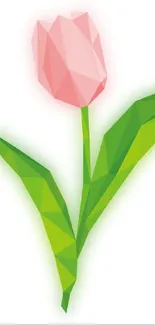 Low-poly geometric pink tulip image with green leaves on a white background.