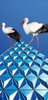 Geometric design with storks on a blue 3D patterned structure.