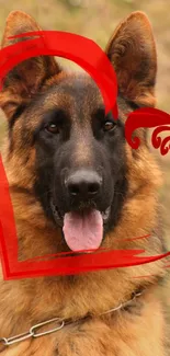 German Shepherd with red heart artistic wallpaper.