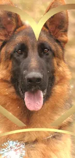 German Shepherd dog with heart design in background.