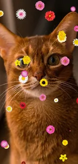 Close-up of a ginger cat with vibrant orange fur.