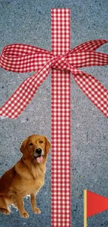 Golden retriever with a red gingham ribbon on a blue background.