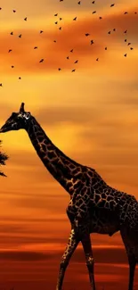 Giraffe silhouetted against a vibrant orange sunset.