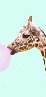 Giraffe blowing a pink bubblegum on a mint green background.