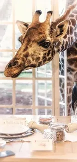 Giraffe curiously looking through a window into a room with a dining table.