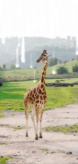 Giraffe standing on a starry landscape with green fields.