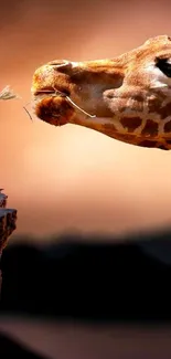 Giraffe reaching towards a small person with serene background.