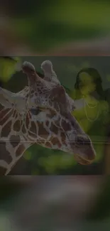 Giraffe facing forward with a reflective, green background.