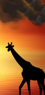 Giraffe silhouette against a vibrant sunset backdrop.