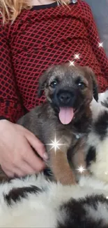 Girl sitting on sofa with puppy, cozy home setting.