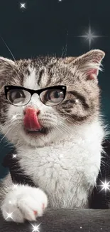 Glasses Cat Felidae Live Wallpaper