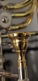 Close-up image of a shiny brass trombone with detailed view of valves.