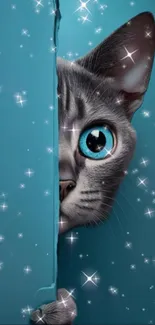 Cat peeks through blue door with sparkles.