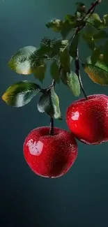 Glistening red apples on a branch with dew drops against a green background.