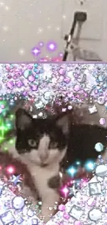 Cute cat in a sparkly, heart-shaped frame with colorful glowing stars.