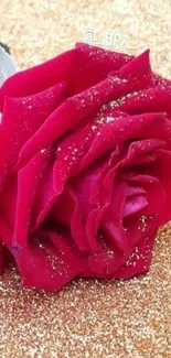 Red rose on glittering gold background.