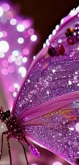 Glittering pink butterfly with a bokeh background.