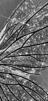 Close-up image of a sparkling butterfly wing in grayscale.