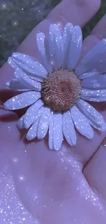 A hand holds a daisy covered in sparkling glitter.