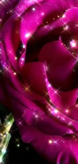 Dazzling pink rose wallpaper with sparkles.