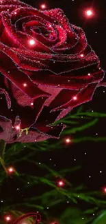 Glittering red rose with green leaves on a starry background.