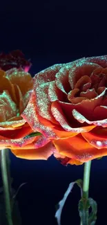 Three glittering roses on a dark background, radiating elegance.