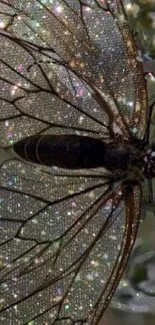 Glittery butterfly with sparkling wings on green leaves.