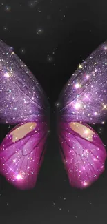 Glittery purple butterfly on dark background wallpaper.