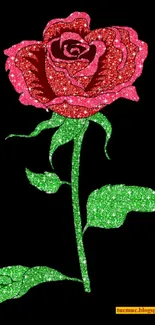 Glittering red rose with a green stem on a black background.