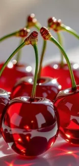 Glossy red cherries with stems in bright light.