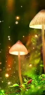 Mystical forest wallpaper with glowing mushrooms and stars.