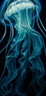 A glowing blue jellyfish on a dark background mobile wallpaper.