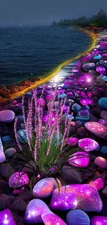 Glowing stones on a colorful beach at night