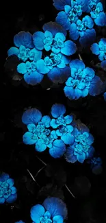 Glowing blue flowers on dark background wallpaper.