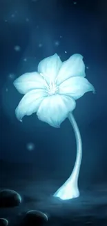 Glowing blue flower against dark night background.