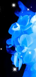 Glowing blue orchid with stars on a dark background