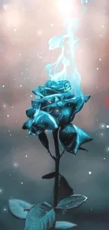 Glowing blue rose in mystical background wallpaper.