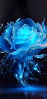 Glowing blue rose with dark background.