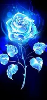 Glowing blue rose on dark background design.