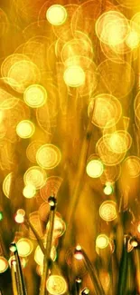 Golden bokeh lights over nature background.