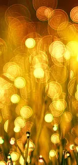 Dazzling mobile wallpaper with glowing bokeh lights in golden hues.