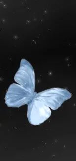 Blue butterfly glowing on a dark night sky background.