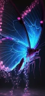 A vibrant, glowing neon blue butterfly art on dark background.