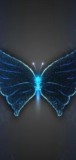 Glowing electric blue butterfly on a dark background.