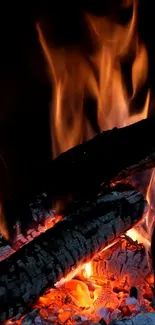 Burning campfire logs with glowing orange flames.